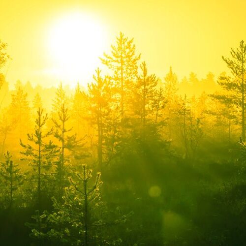 Seelenleuchten - Die Verankerung im Unwandelbaren