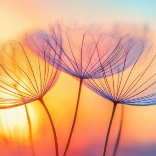 Seelenleuchten - Die Weite des inneren Raumes