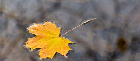Herbst 2026